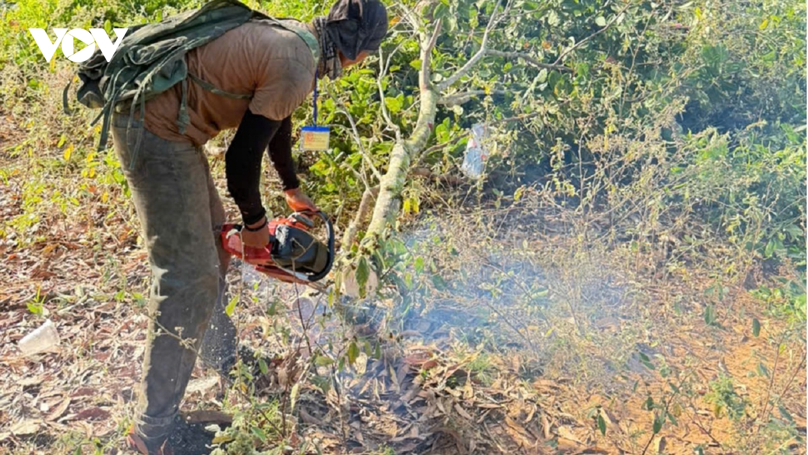 Buộc trả lại hơn 3 ha đất chiếm để trồng điều ở Mũi Né, Lâm Đồng